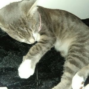 Meet your Posher, Janelle