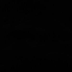 Meet your Posher, Lorie