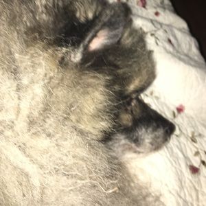 Meet your Posher, Kathi