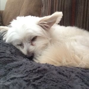 Meet your Posher, Mary