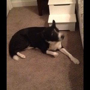 Meet your Posher, Ann