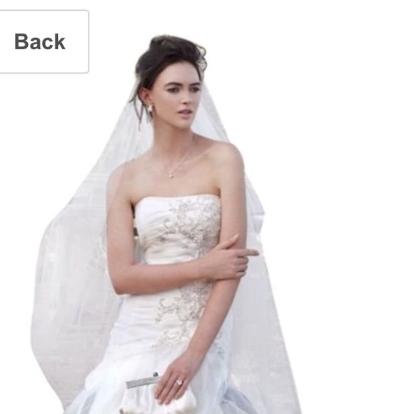 Ivory Fit and Flare Organza Wedding Dress