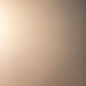 Meet your Posher, Kenzie