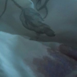 Meet your Posher, Tameca