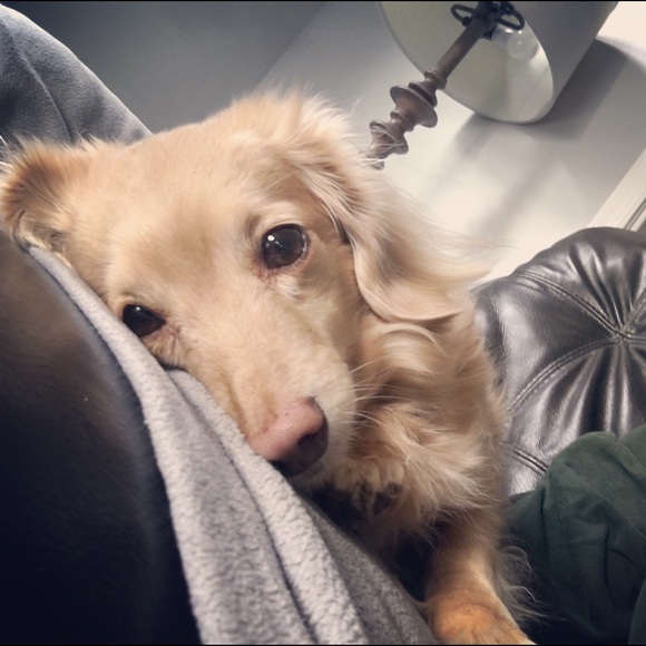 Meet your Posher, T - Picture 4 of 6