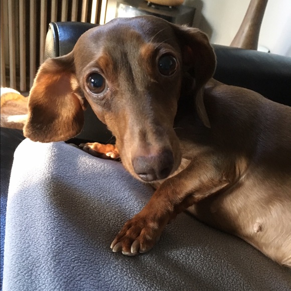 Meet your Posher, T - Picture 5 of 6