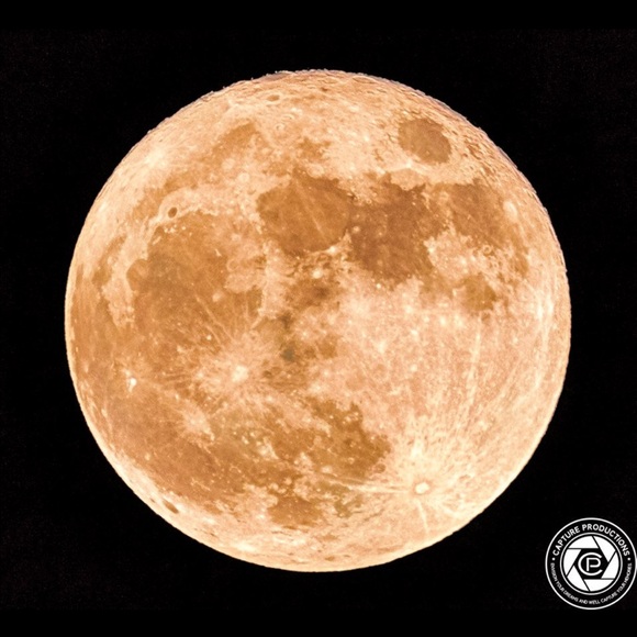 Meet your Posher, Karie - Picture 1 of 1