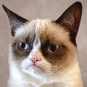 Meet your Posher, Deana