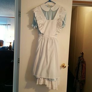 Alice in Wonderland Costume