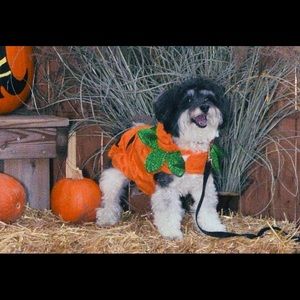 Meet your Posher, Joanne