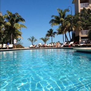 Meet your Posher, Maggie