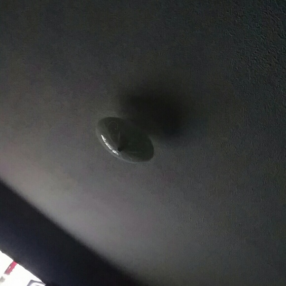 Meet your Posher, Benjamin - Picture 1 of 1