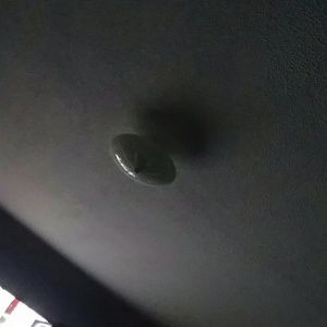 Meet your Posher, Benjamin