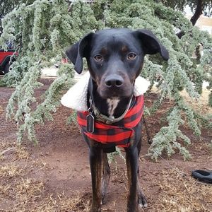 Meet your Posher, Hope