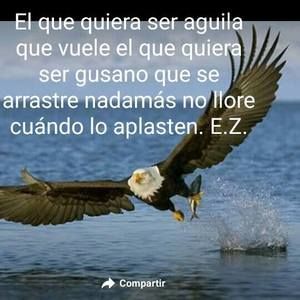 Meet your Posher, Araceli