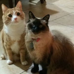 Meet your Posher, Juany