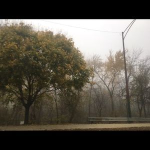 Meet your Posher, Karina