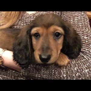 Meet your Posher, Amber