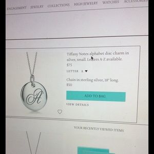 Tiffany "N" charm with 16 in. silver chain