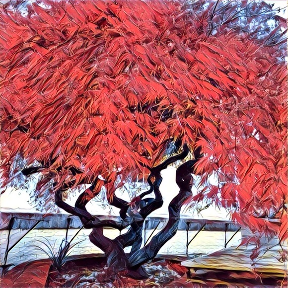 Poshmark Pig! - Picture 2 of 2