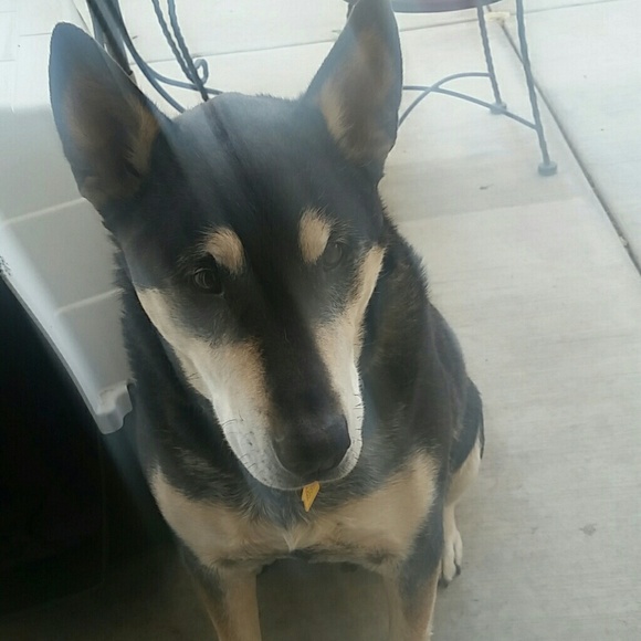 Meet your Posher, Moon