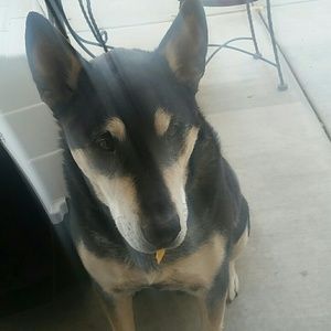 Meet your Posher, Moon