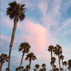 Meet your Posher, Selma