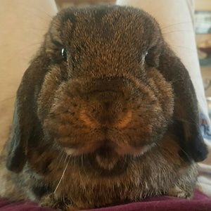 Meet your Posher, Sarina