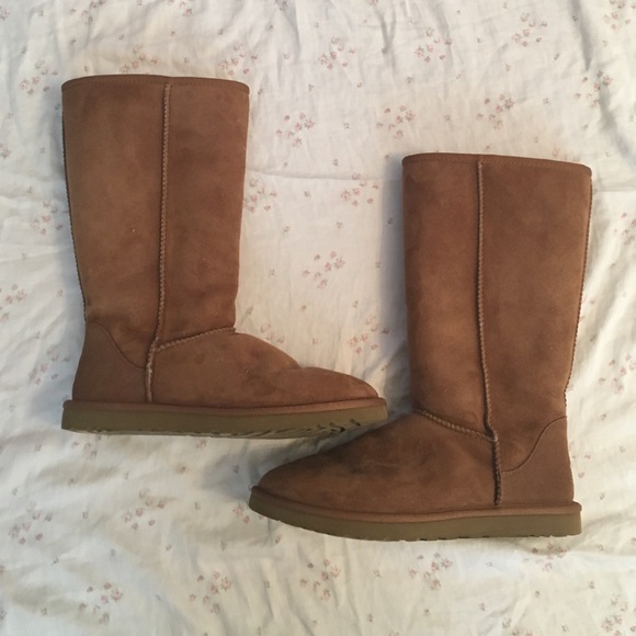Tall Chestnut Uggs