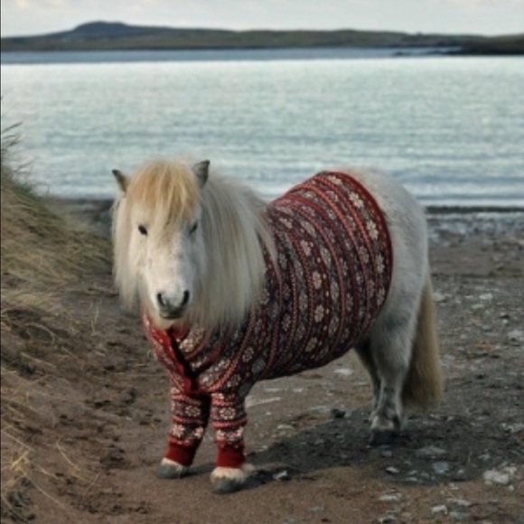 Sweater Weather! Yay πππ - Picture 1 of 1