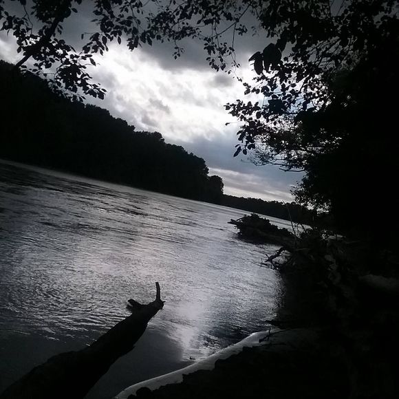 Meet your Posher, Kellie