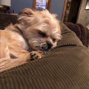 Meet your Posher, Courtney