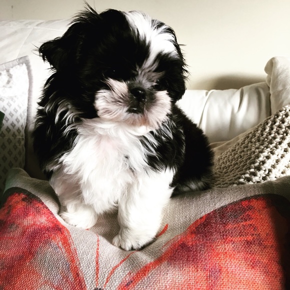 Highly Rated! Fast Shipping - Picture 2 of 2