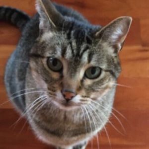 Meet your Posher, Natalie