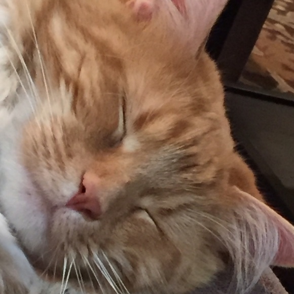 Meet your Posher, Sharley