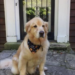 Meet your Posher, Charlie