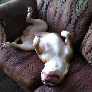 Meet your Posher, Hunter ej