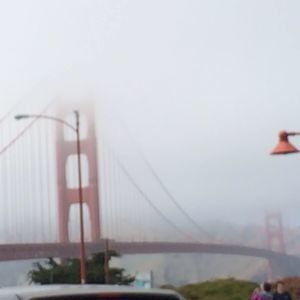 Meet your Posher, Misty