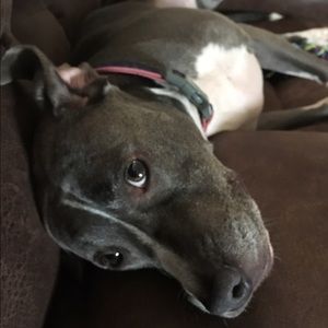 Meet your Posher, Kristin