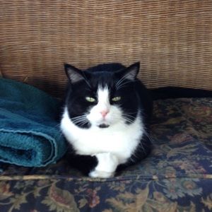 Meet your Posher, Lena