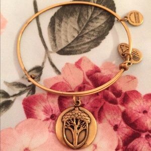 Alex and Ani bracelet