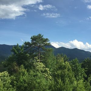 Meet your Posher, Angel