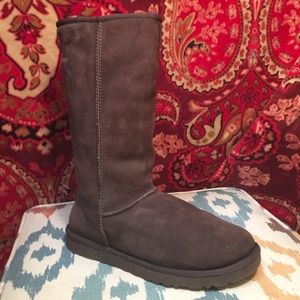 Chocolate Brown Uggs