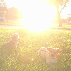 Meet your Posher, Michelle