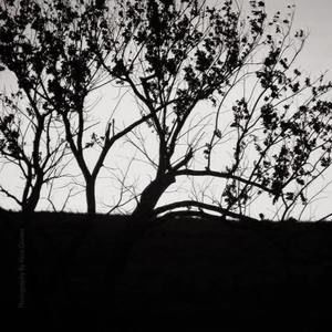 Meet your Posher, Alisa