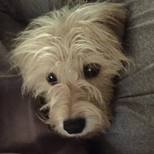 Meet your Posher, Kelsey