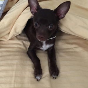 Meet your Posher, Catalina