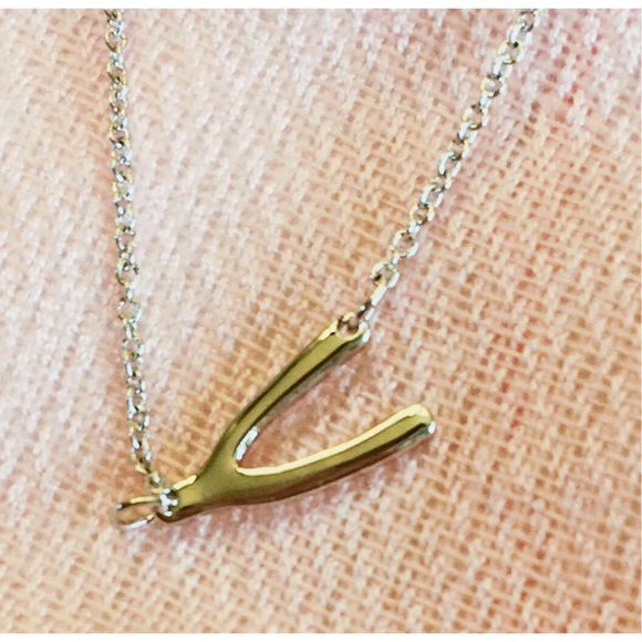 Lucky Wishbone Necklace