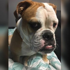 Meet your Posher, Justin