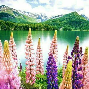 Meet your Posher, Iris